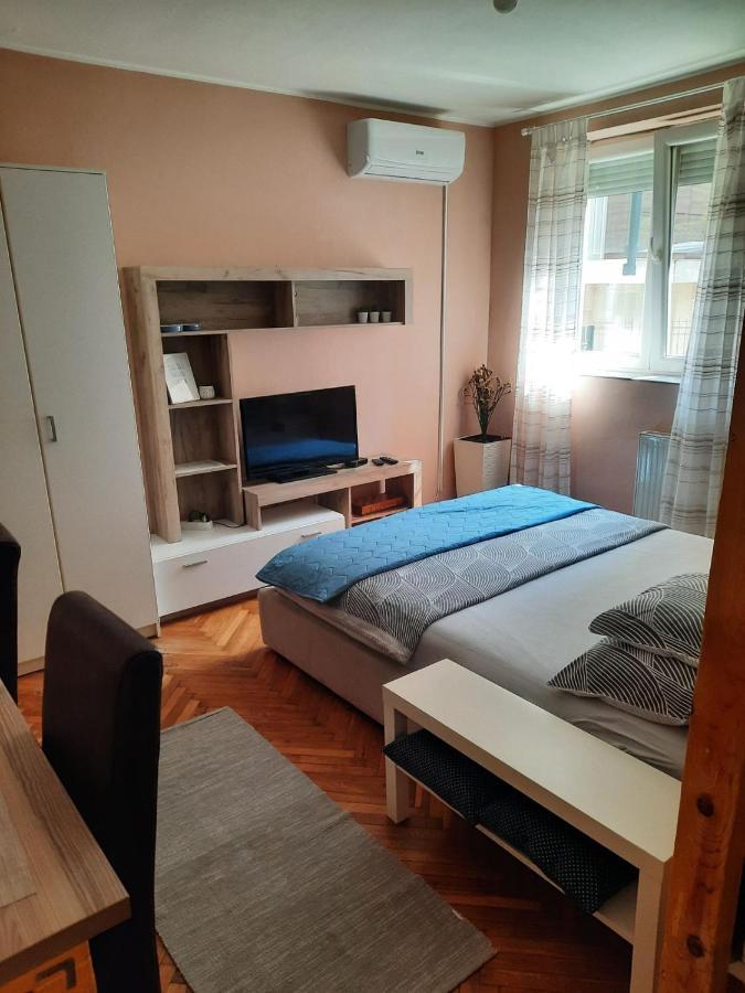 Apartmani Biljana Lazic Врнячка-Баня Екстер'єр фото
