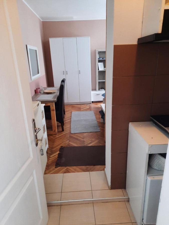 Apartmani Biljana Lazic Врнячка-Баня Екстер'єр фото