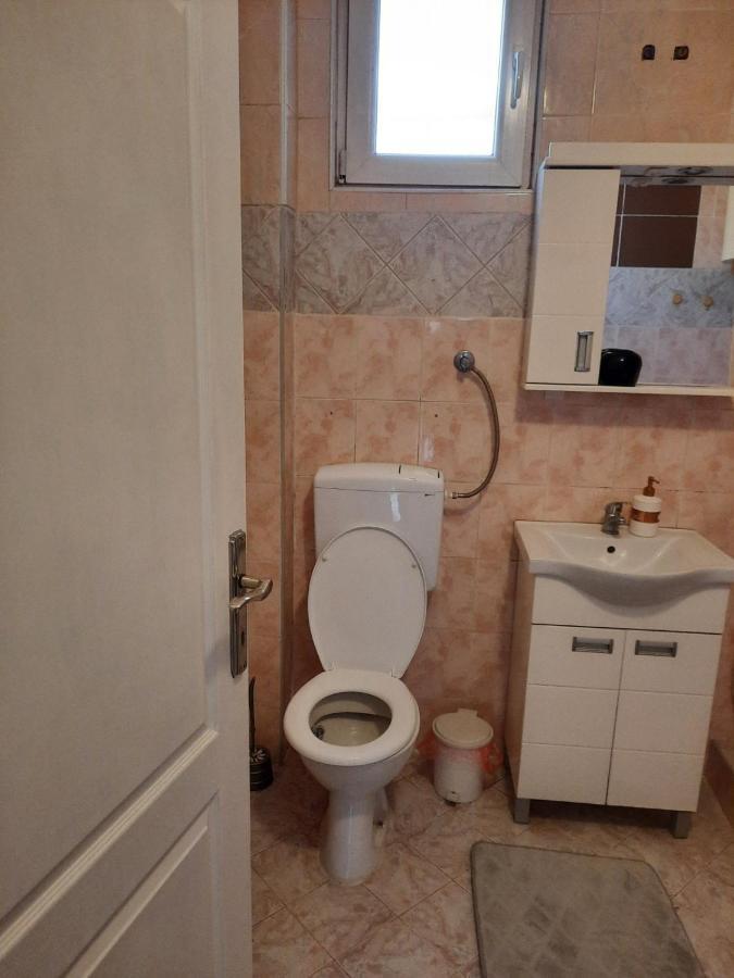 Apartmani Biljana Lazic Врнячка-Баня Екстер'єр фото