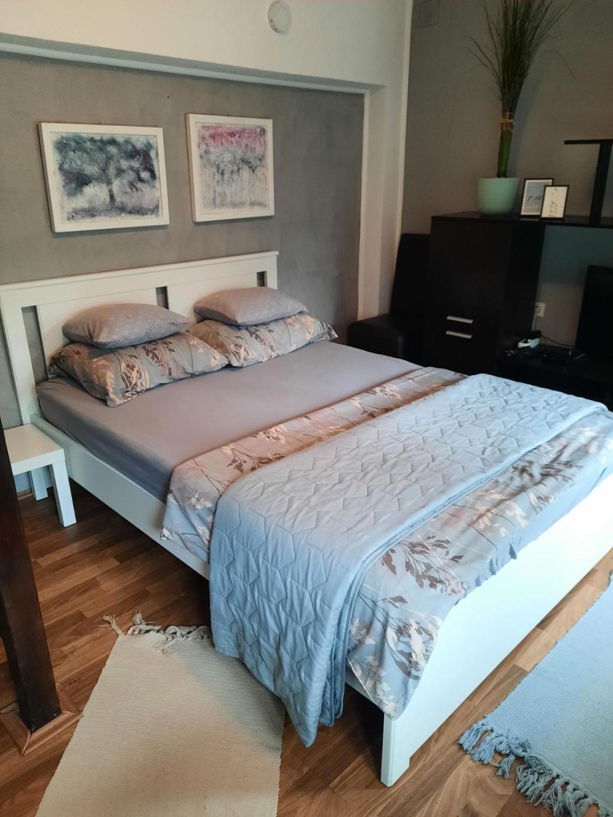 Apartmani Biljana Lazic Врнячка-Баня Екстер'єр фото